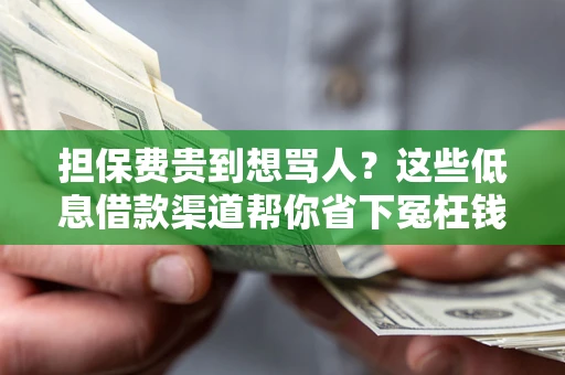 济南担保费贵到想骂人？这些低息借款渠道帮你省下冤枉钱