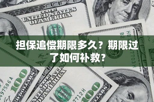 济南担保追偿期限多久？期限过了如何补救？