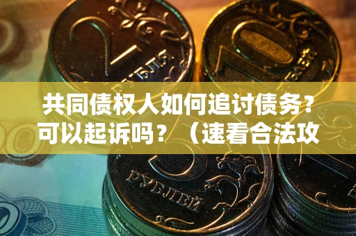 济南共同债权人如何追讨债务？可以起诉吗？（速看合法攻略）