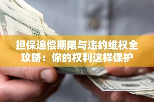 济南担保追偿期限与违约维权全攻略：你的权利这样保护